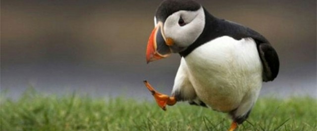 Rätt sorts antifeminism – och fel