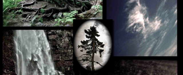 Resan till Den Gamle