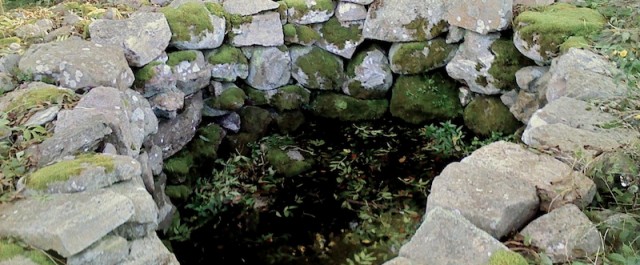 Vid S:t Olofs källa