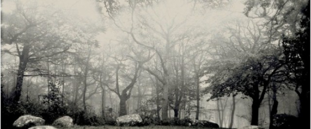 Gravar längs en djurstig