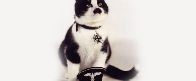 Antifascistiska bevekelsegrunder