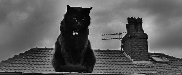 Karlsson på hett plåttak