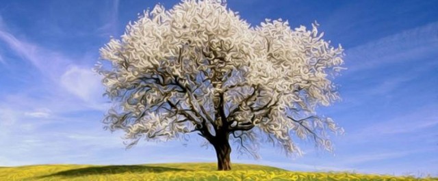 Välkommen till nya Motpol