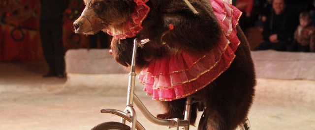 Lästips: Marika Formgren och cirkusartisterna