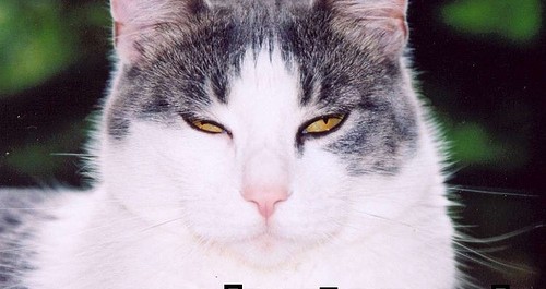 Feministiska perspektiv på We are Sthlm