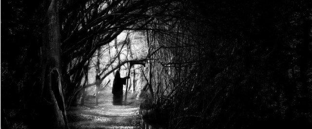 Lästips: 3 reasons why we need ”darkness” to evolve