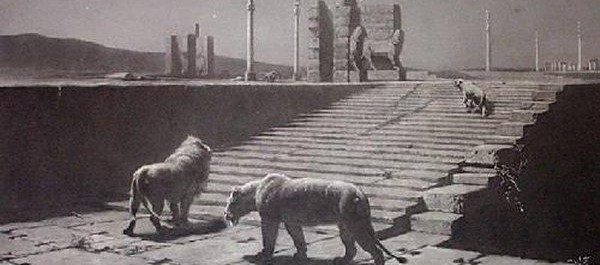 Ur ruinerna – uppdatering IV