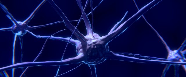 IQ och ärftlighet: en introduktion