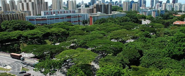 Partiväsendet spricker och nya rörelser växer fram