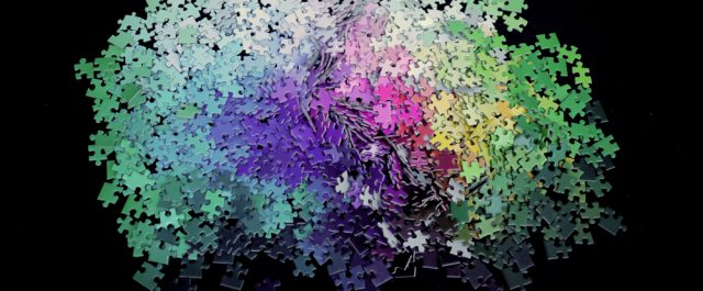 Reflektioner rörande rasbegreppet