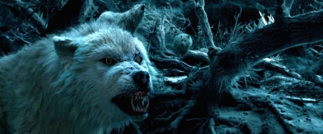 Skönheten och odjuret