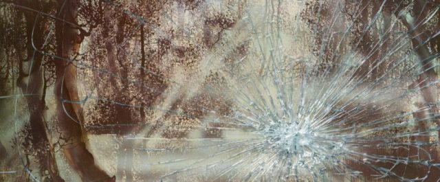 Tjärnen och förundran