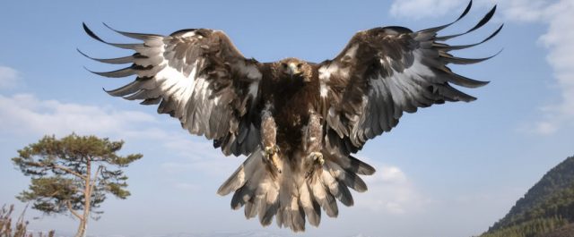 Julius Evola och nyandligheten