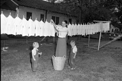 I tågets tecken – om tåg i Yasujiro Ozus filmer