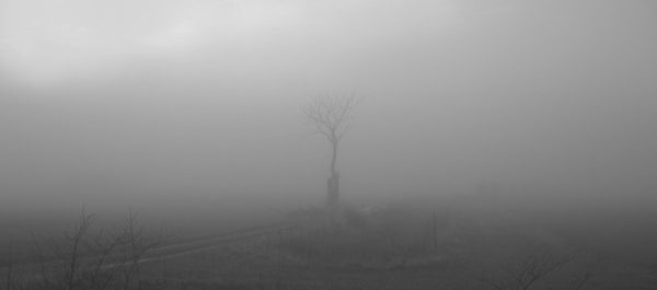 Det sanna Amerika eller Nyhetens behag