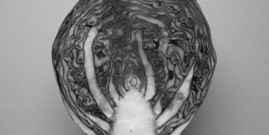 Dialog under träden