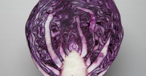 Mörkret under träden