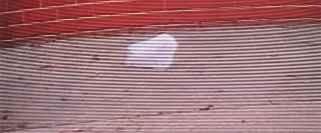 Det är en förbannad plastpåse!