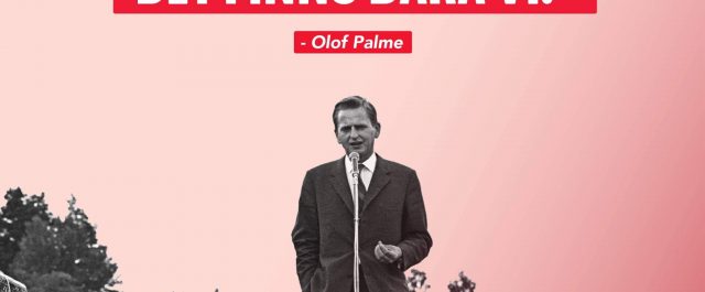 Radikalnationalistisk mångkulturkritik