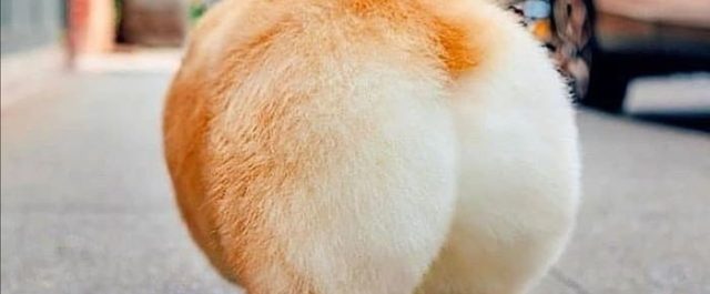 Lästips: Mot den moderna musiken