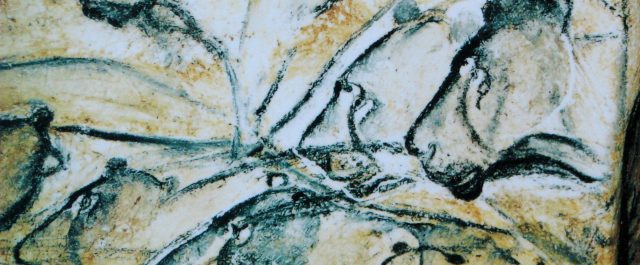 Carleton Coon och Europas historia