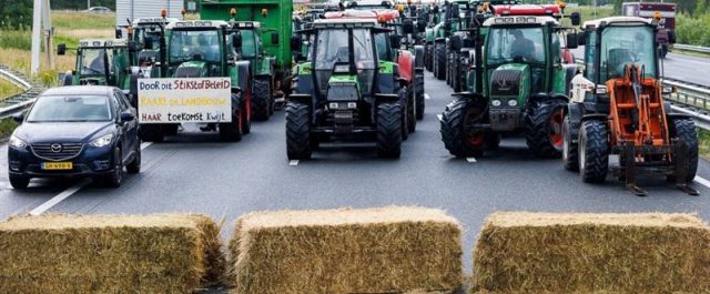 Det holländska bondeupproret