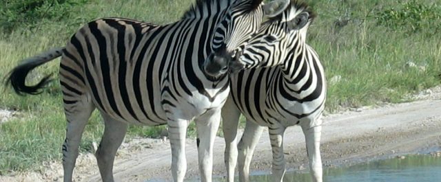 Lästips: Empatisk höger och moraliserande vänster