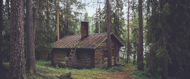 David Henry Thoreau och Walden