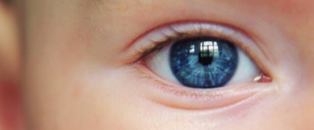 Reflexioner i ett ariskt öga – Kapitel 1 och 2