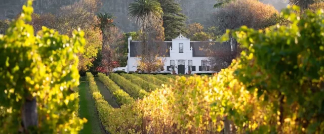 Det förlovade landet