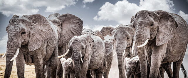 Nyliberala bekännelser i tio kapitel – II