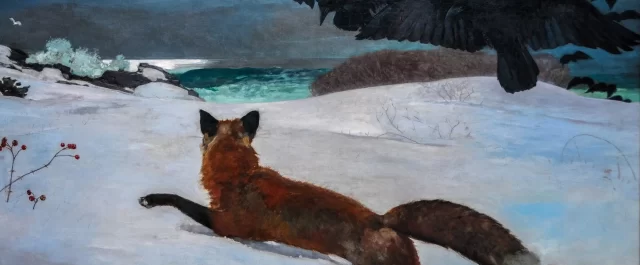 Lästips: Offersignaleringens för- och nackdelar